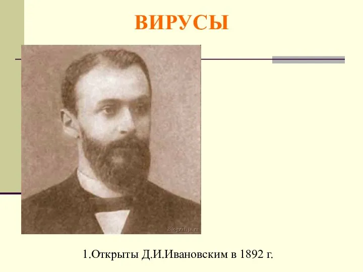 ВИРУСЫ 1.Открыты Д.И.Ивановским в 1892 г. .