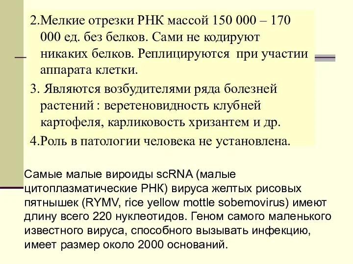 2.Мелкие отрезки РНК массой 150 000 – 170 000 ед.