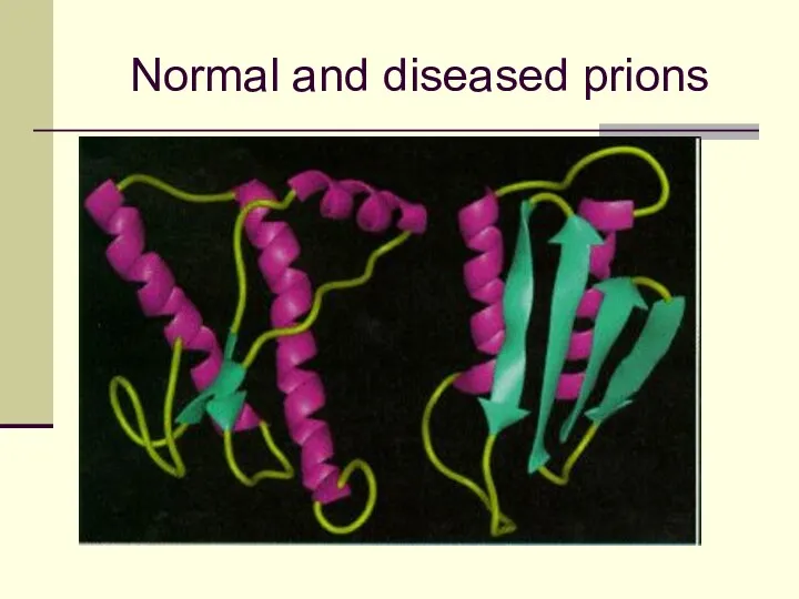 Normal and diseased prions