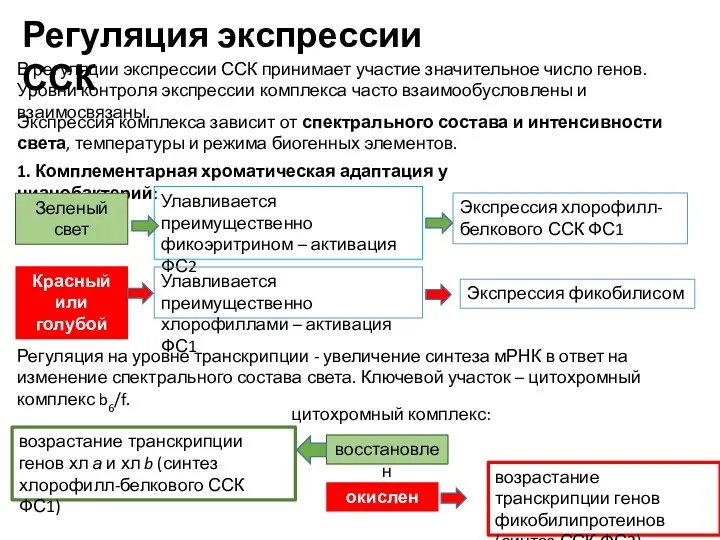 В регуляции экспрессии ССК принимает участие значительное число генов. Уровни