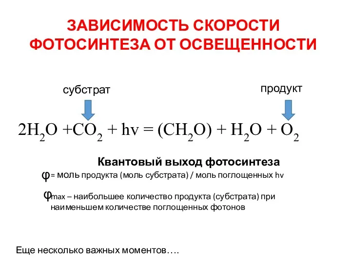 ЗАВИСИМОСТЬ СКОРОСТИ ФОТОСИНТЕЗА ОТ ОСВЕЩЕННОСТИ φ 2H2O +CO2 + hv