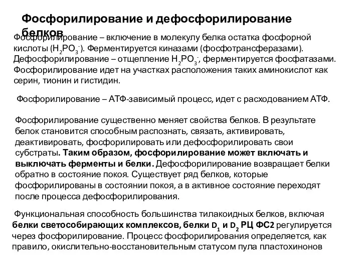 Фосфорилирование – включение в молекулу белка остатка фосфорной кислоты (Н2РО3-).