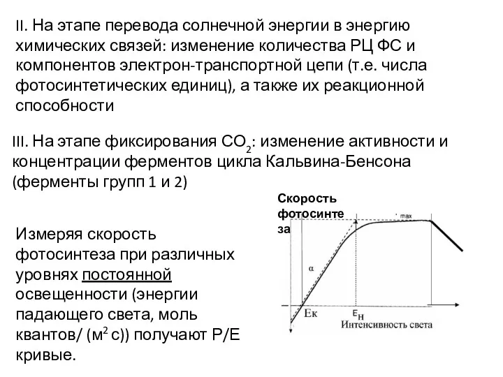 II. На этапе перевода солнечной энергии в энергию химических связей: