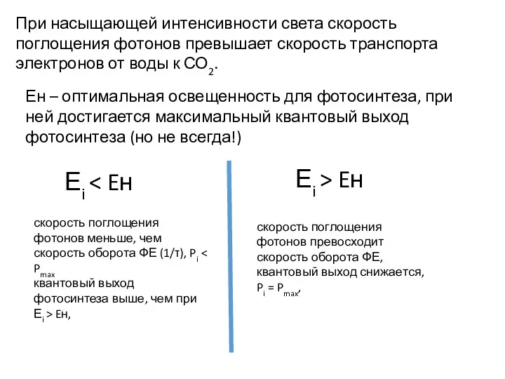 При насыщающей интенсивности света скорость поглощения фотонов превышает скорость транспорта