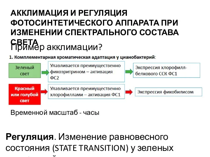 АККЛИМАЦИЯ И РЕГУЛЯЦИЯ ФОТОСИНТЕТИЧЕСКОГО АППАРАТА ПРИ ИЗМЕНЕНИИ СПЕКТРАЛЬНОГО СОСТАВА СВЕТА