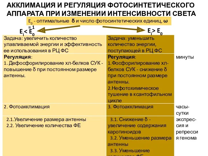 АККЛИМАЦИЯ И РЕГУЛЯЦИЯ ФОТОСИНТЕТИЧЕСКОГО АППАРАТА ПРИ ИЗМЕНЕНИИ ИНТЕНСИВНОСТИ СВЕТА E0