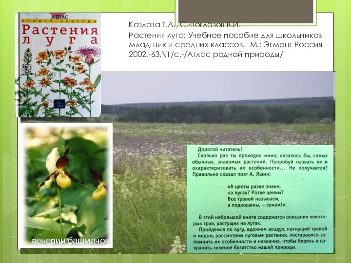 Козлова Т.А., Сивоглазов В.И. Растения луга: Учебное пособие для школьников