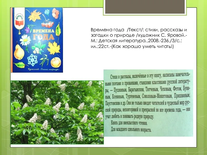 Времена года /Текст/: стихи, рассказы и загадки о природе /художник