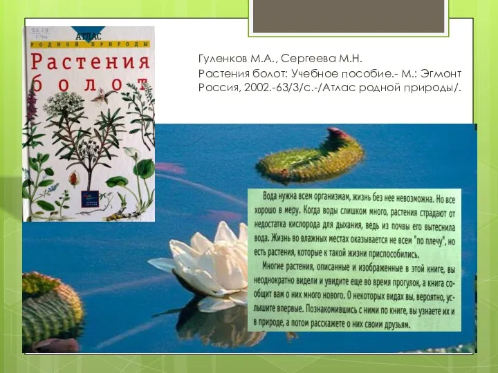 Гуленков М.А., Сергеева М.Н. Растения болот: Учебное пособие.- М.: Эгмонт Россия, 2002.-63/3/с.-/Атлас родной природы/.