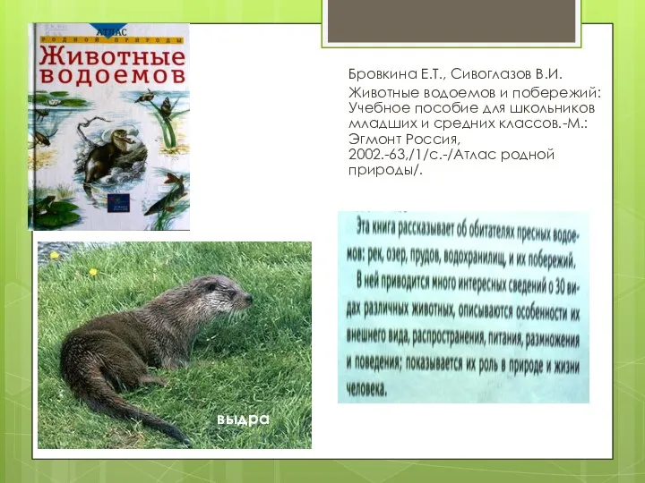 Бровкина Е.Т., Сивоглазов В.И. Животные водоемов и побережий: Учебное пособие