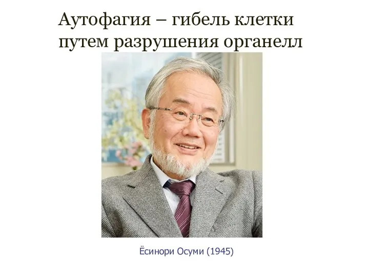 Ёсинори Осуми (1945) Аутофагия – гибель клетки путем разрушения органелл