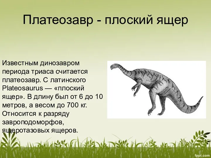 Платеозавр - плоский ящер Известным динозавром периода триаса считается платеозавр.