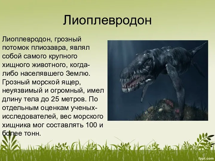 Лиоплевродон Лиоплевродон, грозный потомок плиозавра, являл собой самого крупного хищного