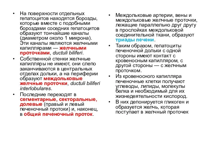 На поверхности отдельных гепатоцитов находятся борозды, которые вместе с подобными