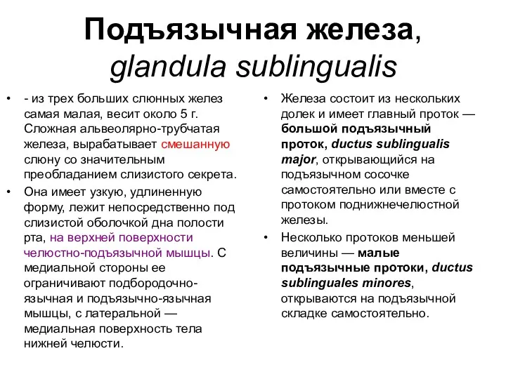 Подъязычная железа, glandula sublingualis - из трех больших слюнных желез