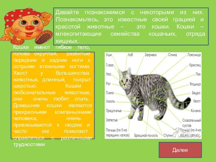 Давайте познакомимся с некоторыми из них. Познакомьтесь, это известные своей