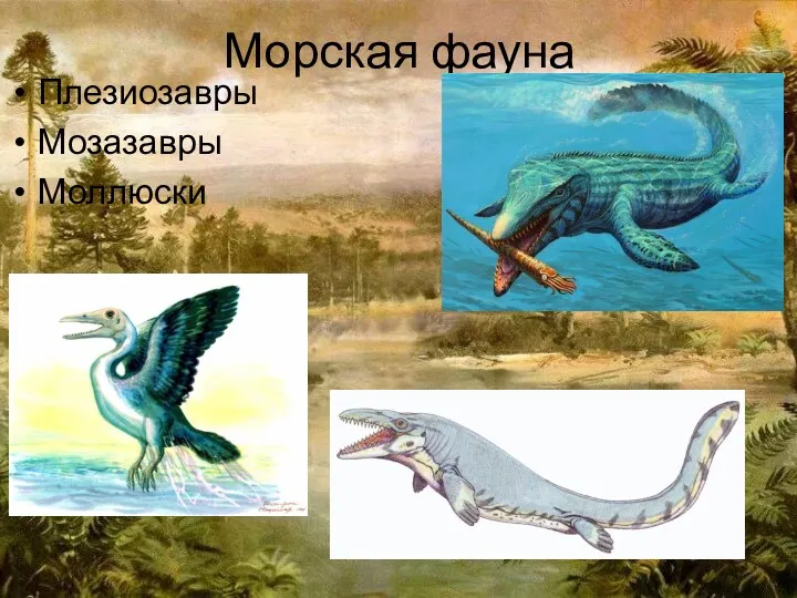 Морская фауна Плезиозавры Мозазавры Моллюски