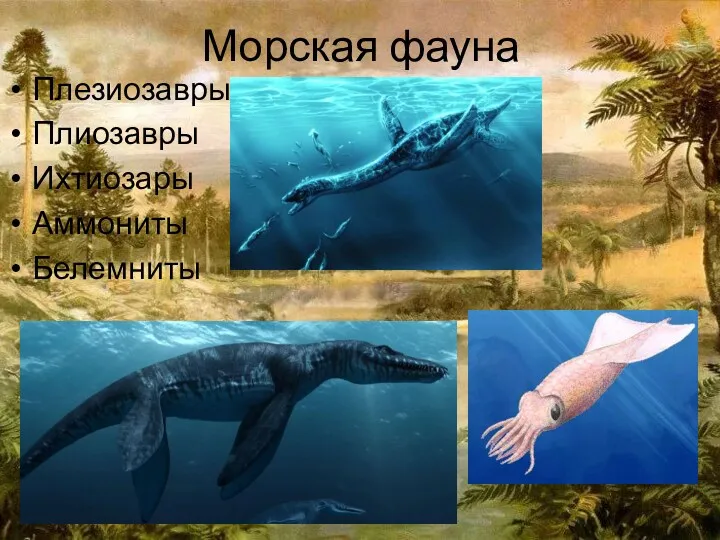 Морская фауна Плезиозавры Плиозавры Ихтиозары Аммониты Белемниты