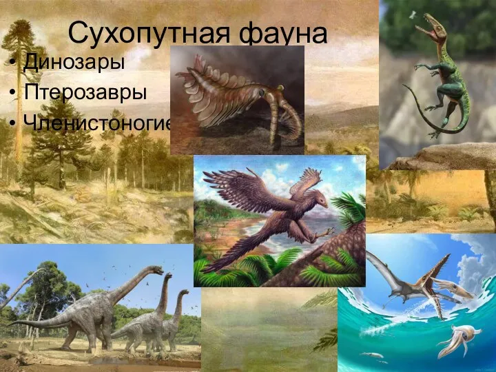 Сухопутная фауна Динозары Птерозавры Членистоногие