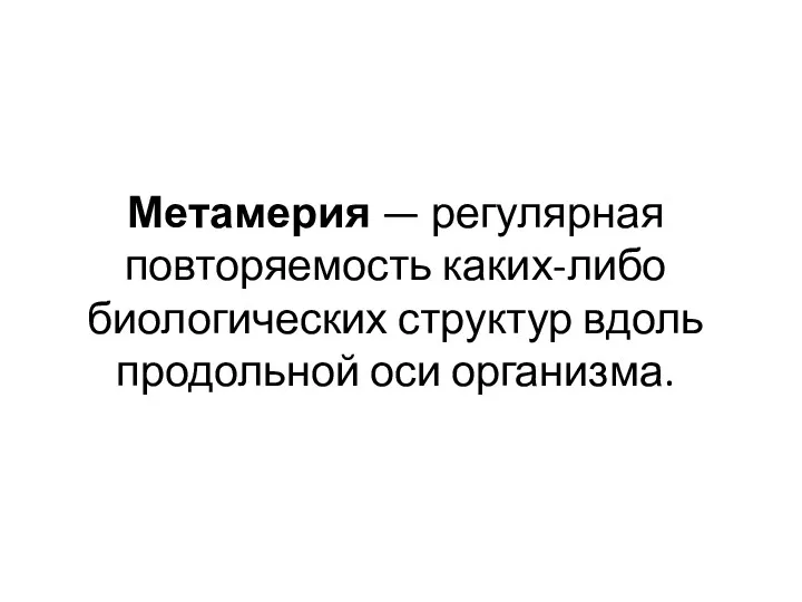 Метамерия — регулярная повторяемость каких-либо биологических структур вдоль продольной оси организма.