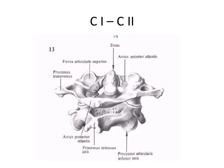 C I – C II