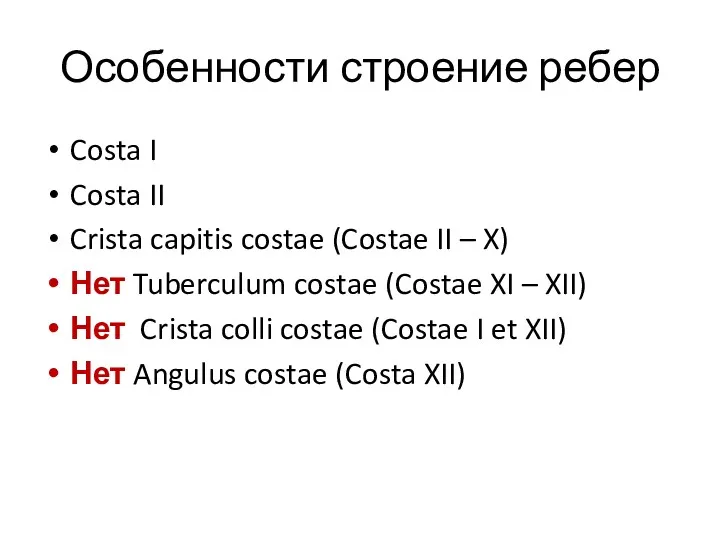Особенности строение ребер Costa I Costa II Crista capitis costae (Costae II –