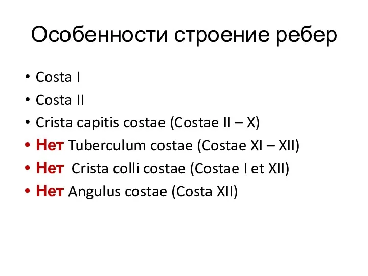 Особенности строение ребер Costa I Costa II Crista capitis costae