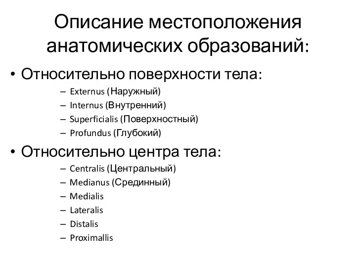 Описание местоположения анатомических образований: Относительно поверхности тела: Externus (Наружный) Internus (Внутренний) Superficialis (Поверхностный)