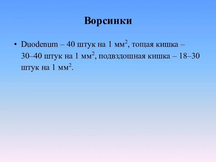 Ворсинки Duodenum – 40 штук на 1 мм2, тощая кишка