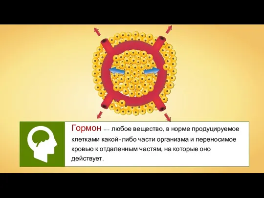 Гормон —– любое вещество, в норме продуцируемое клетками какой-либо части организма и переносимое