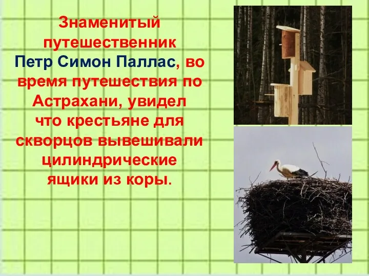 Знаменитый путешественник Петр Симон Паллас, во время путешествия по Астрахани,