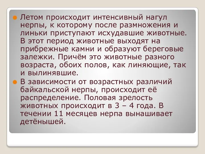 Летом происходит интенсивный нагул нерпы, к которому после размножения и