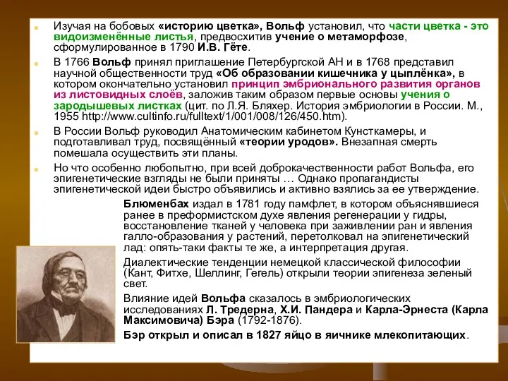 Изучая на бобовых «историю цветка», Вольф установил, что части цветка - это видоизменённые