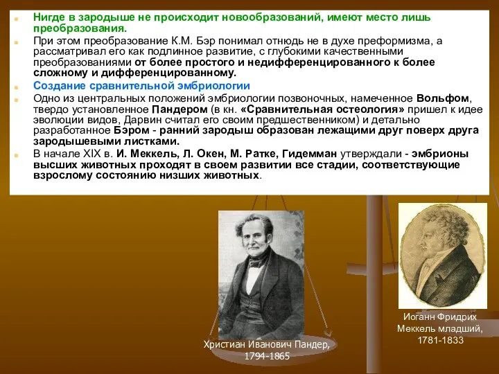 Нигде в зародыше не происходит новообразований, имеют место лишь преобразования. При этом преобразование