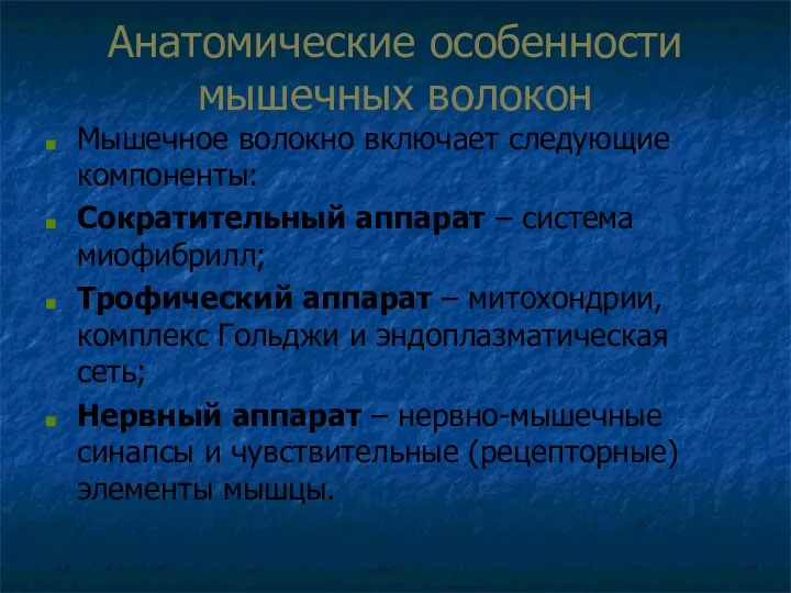 Анатомические особенности мышечных волокон Мышечное волокно включает следующие компоненты: Сократительный