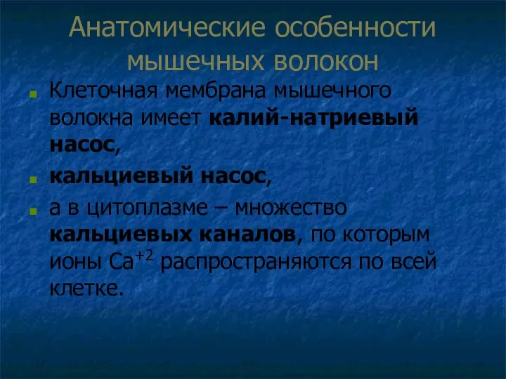 Анатомические особенности мышечных волокон Клеточная мембрана мышечного волокна имеет калий-натриевый