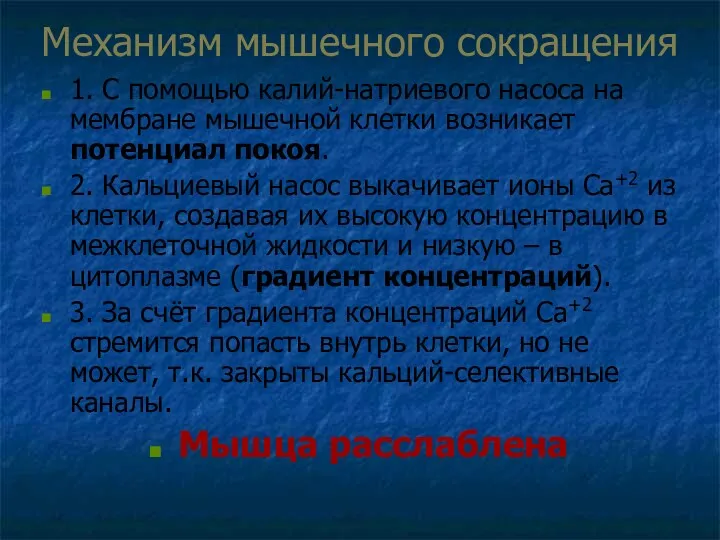 Механизм мышечного сокращения 1. С помощью калий-натриевого насоса на мембране