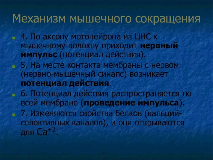 Механизм мышечного сокращения 4. По аксону мотонейрона из ЦНС к