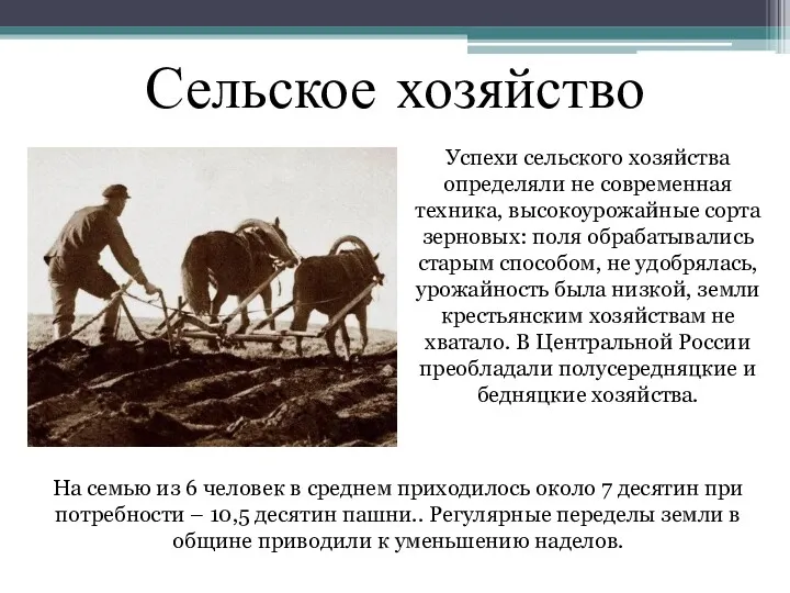 Сельское хозяйство Успехи сельского хозяйства определяли не современная техника, высокоурожайные