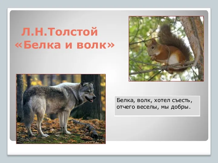 Л.Н.Толстой «Белка и волк»