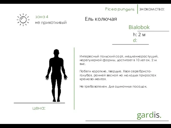 gardis. знакомство: Интересный польский сорт, медленнорастущий, нерегулярной формы, достигает в