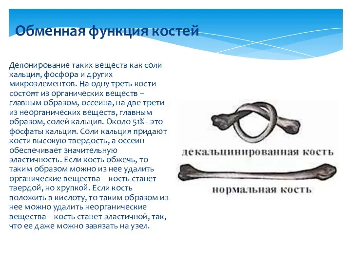 Депонирование таких веществ как соли кальция, фосфора и других микроэлементов.