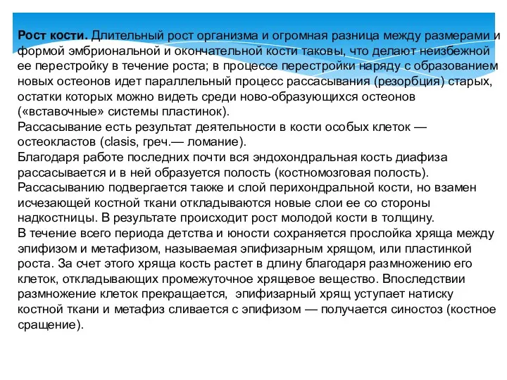 Рост кости. Длительный рост организма и огромная разница между размерами