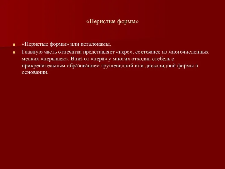 «Перистые формы» «Перистые формы» или петалонамы. Главную часть отпечатка представляет