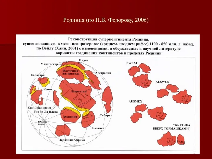 Родиния (по П.В. Федорову, 2006)