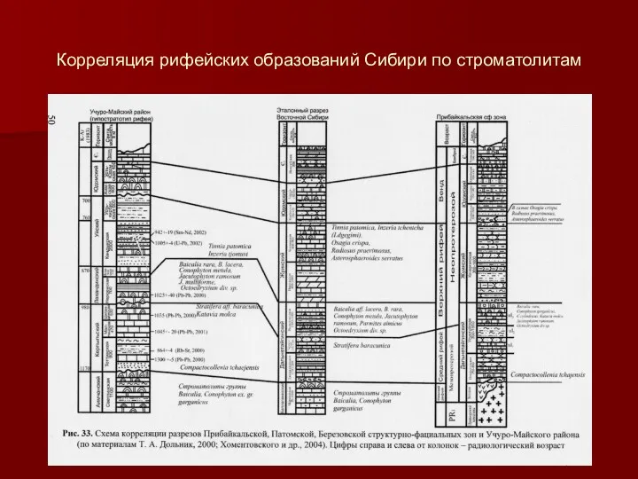 Корреляция рифейских образований Сибири по строматолитам