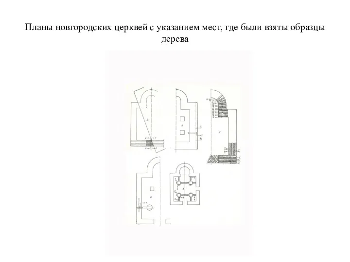 Планы новгородских церквей с указанием мест, где были взяты образцы дерева