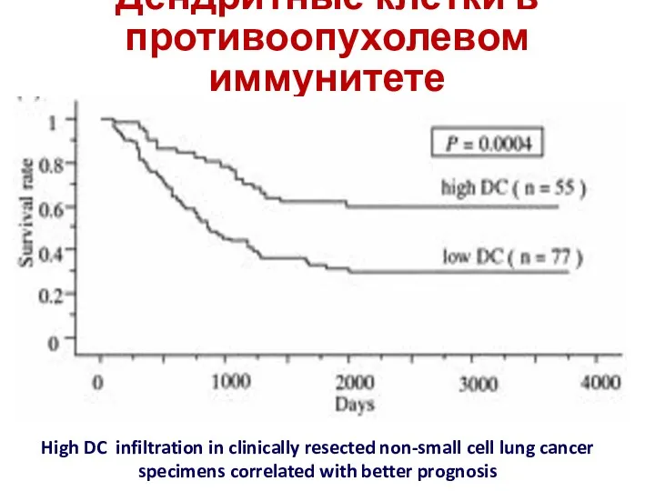 Дендритные клетки в противоопухолевом иммунитете High DC infiltration in clinically resected non-small cell