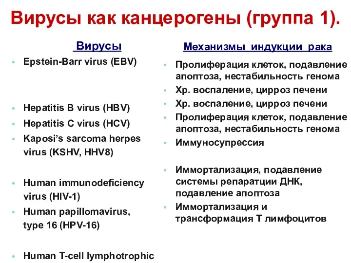 Вирусы как канцерогены (группа 1). Вирусы Epstein-Barr virus (EBV) Hepatitis B virus (HBV)