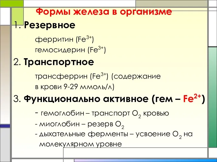 Формы железа в организме 1. Резервное ферритин (Fe3+) гемосидерин (Fe3+)